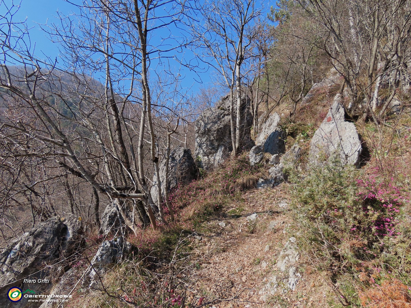 15 Sentiero in decisa salita, a tratti ripida.JPG